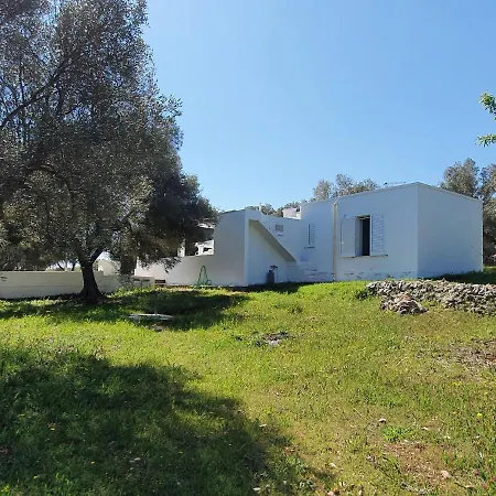 Ostuni, Trullo Laveneziana Per 8 Ospiti Intera Struttura Con Piscina Esclusiva Ferienhaus Ostuni